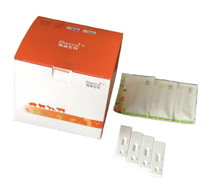布魯氏菌病抗體膠體金快速檢測卡（豬，牛，羊）