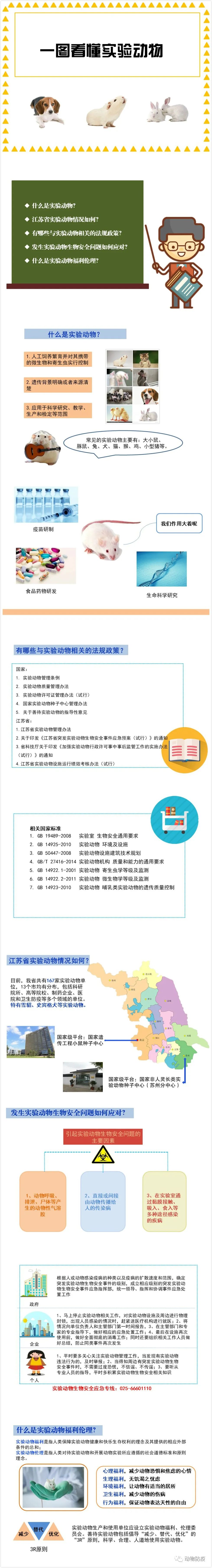 真瑞科普 | 一圖看懂實(shí)驗(yàn)動物